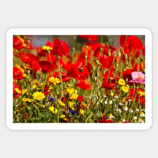 English Wild Flowers Sticker